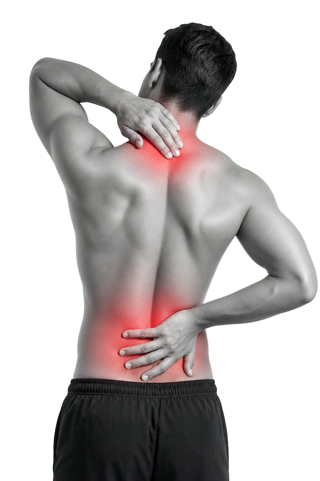 Orthopaedic spine and joint care silhouette